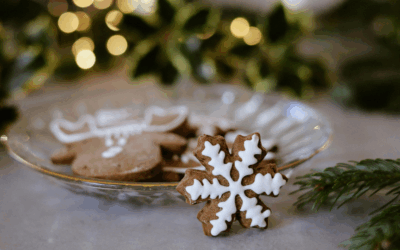 11 Tips for a Healthy & Happy Holiday Season