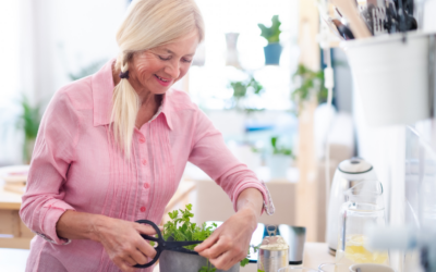 Metabolic Health: What It Really Means (And Why Weight Is Only a Small Part of The Story)